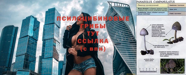 дживик Балабаново