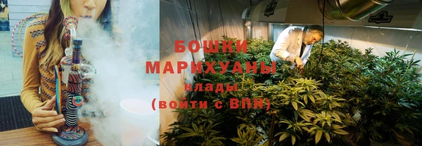 прущие грибы Балахна