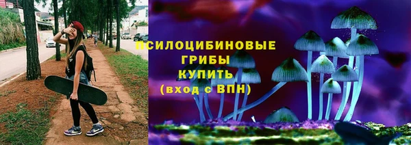 прущие грибы Балахна