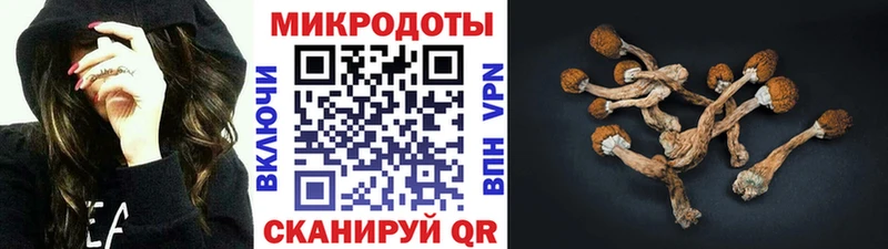 Псилоцибиновые грибы мицелий где найти наркотики Верхнеуральск